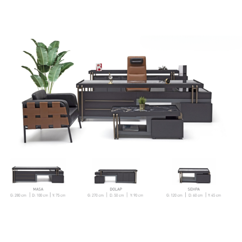 Bernardo - Görsel 2